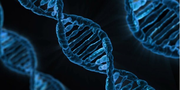 SeqOne, éditeur montpelliérain d’une solution logicielle d’analyse de données génomiques