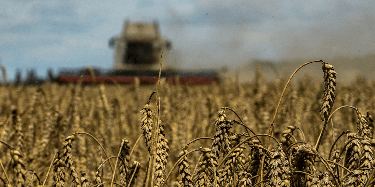 La Pologne compte parmi les plus grands soutiens de l'Ukraine depuis l'invasion russe, mais les frictions liées à l'interdiction unilatérale des importations de céréales par Varsovie ont entamé les relations entre les alliés.