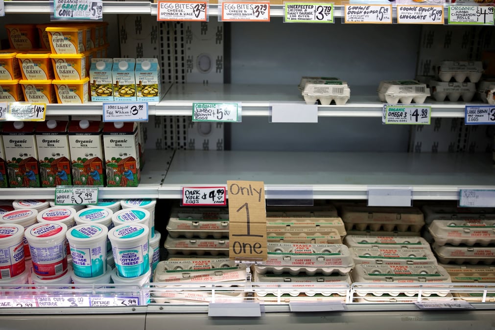À la suite d’une épidémie de grippe aviaire, les œufs sont devenus une denrée rare et les prix ont explosé outre-Atlantique.