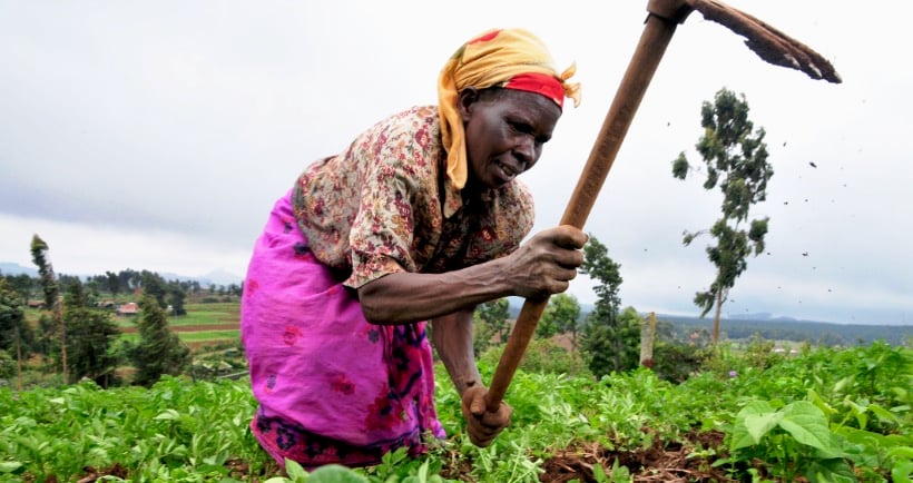 agriculture afrique