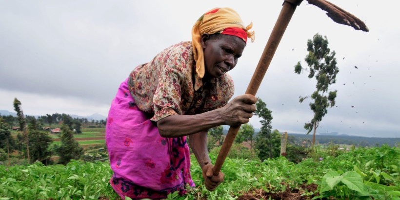 agriculture afrique