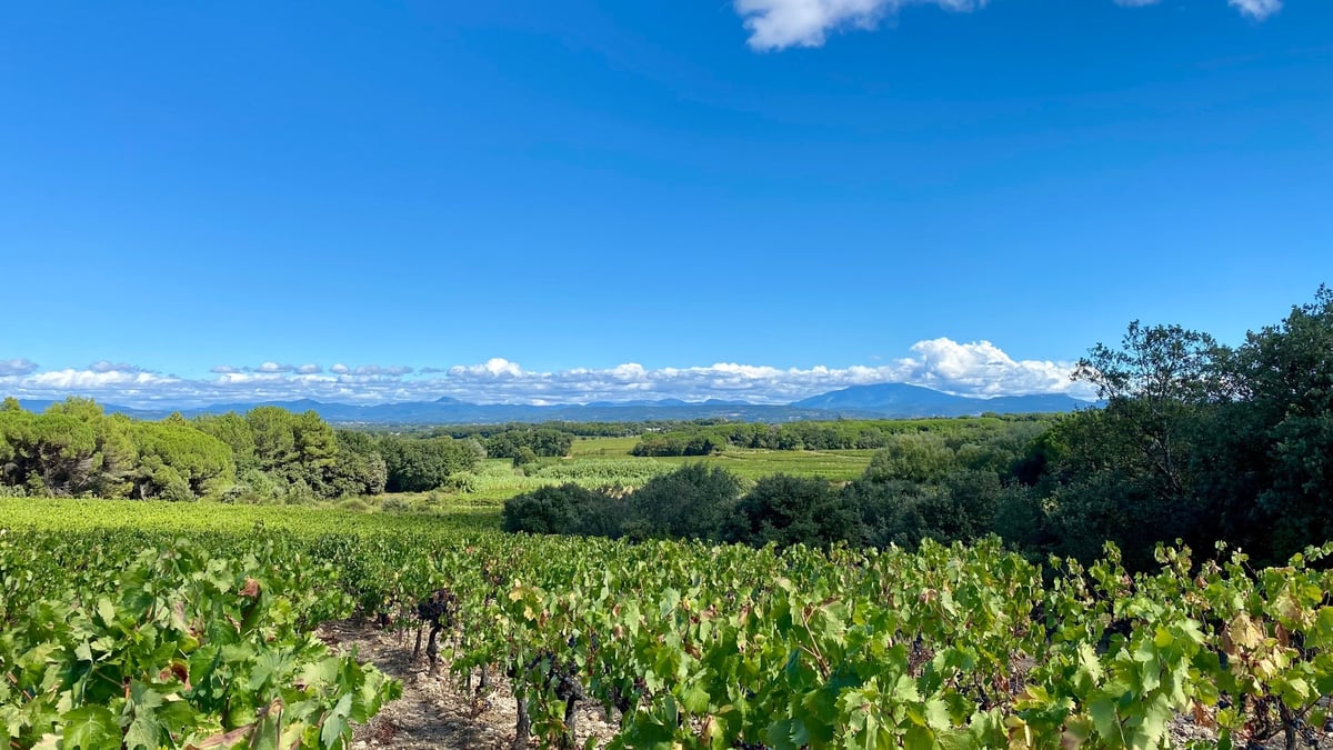 Oé est désormais propriétaire de ce domaine de six hectares.