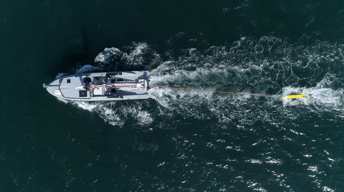 Le premier système livré à la marine française comporte un drone de surface équipé d'un sonar tracté pour la localisation et la classification des mines marines.