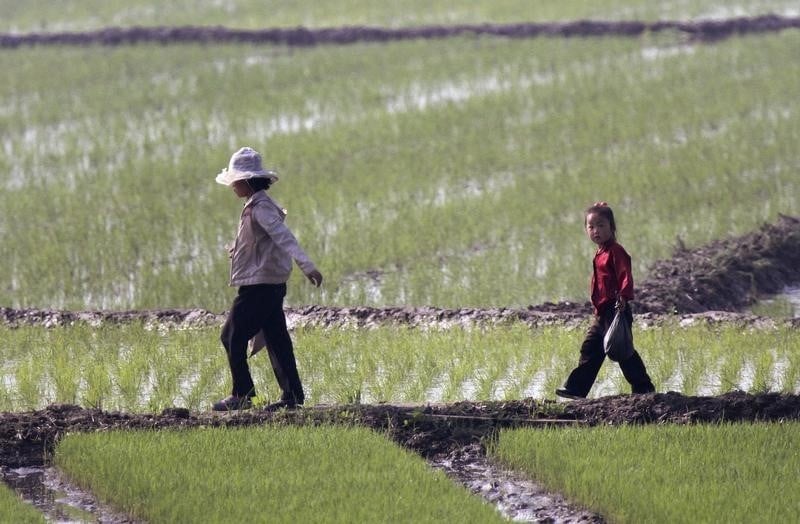 L'onu redoute des penuries alimentaires en coree du nord