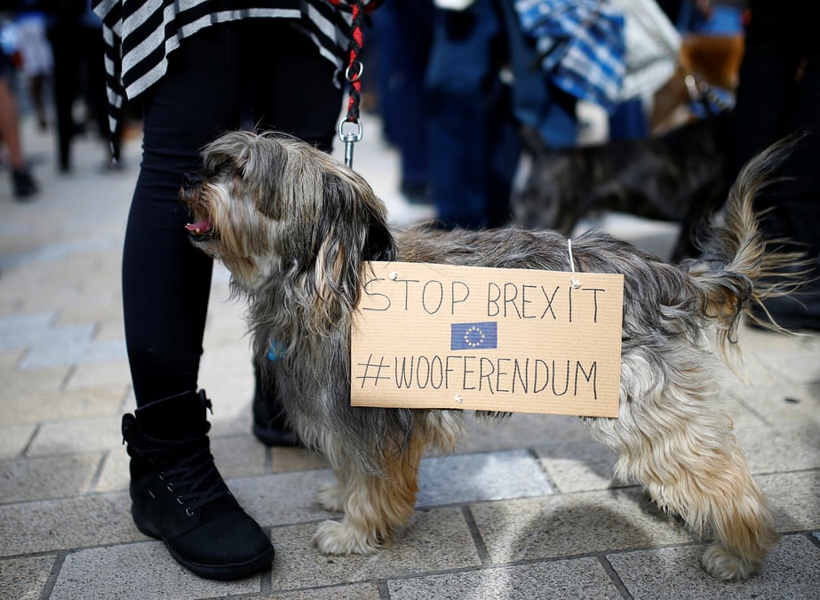 Manifestation canine contre le brexit a londres