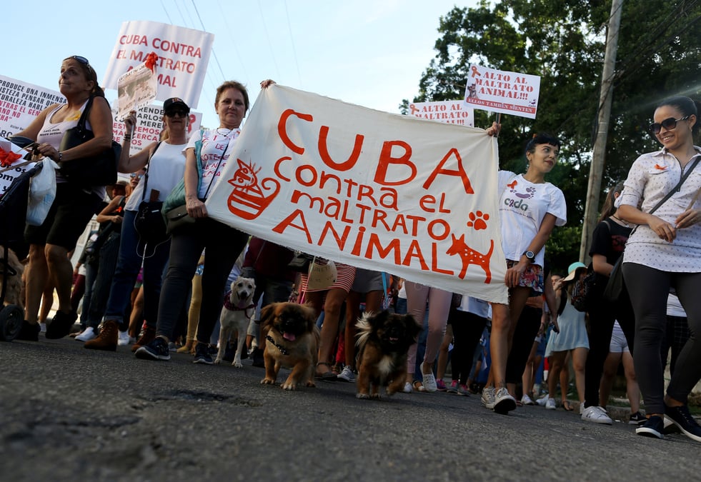 Manifestation independante a cuba, inedit, disent les organisateurs