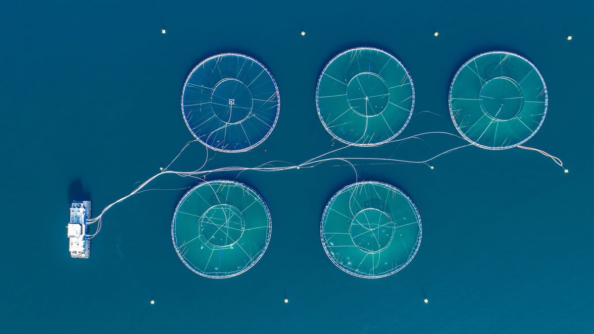 Si l'aquaculture reste prioritaire, la bluetech travaille à la structuration d'une nouvelle business unit consacrée aux rejets industriels.