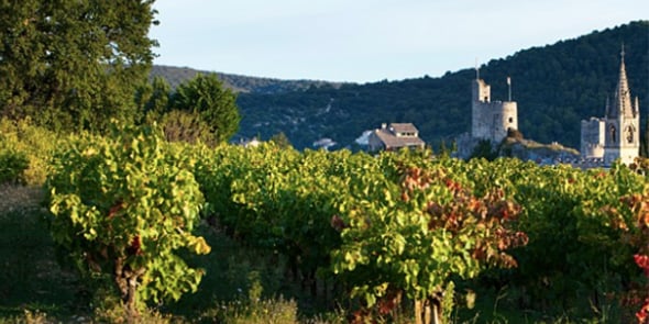 Les vignobles des Costières de Nîmes