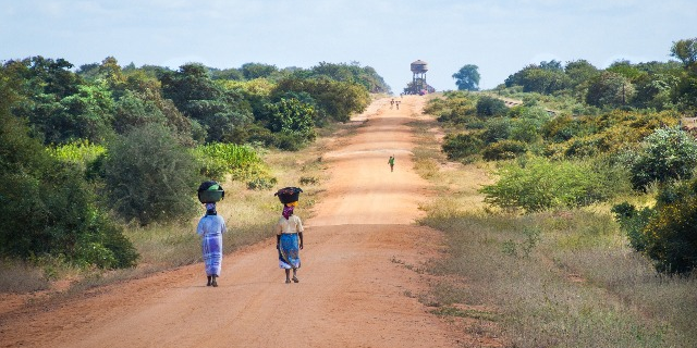 population rurale