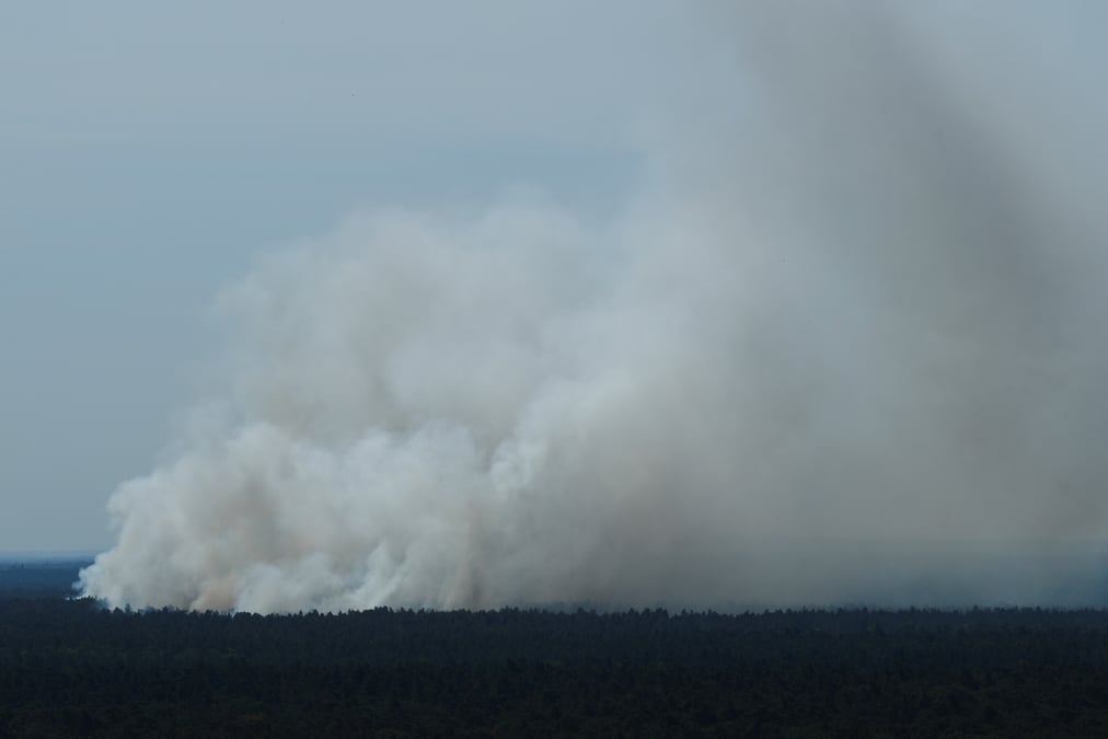 Incendie dans la foret de grunewald, dans l'ouest de berlin