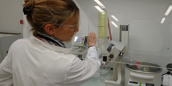 Phost'in Therapeutics développe des composés anticancéreux très puissants.