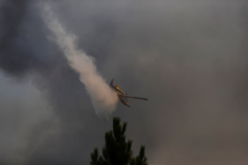 Feu de foret dans le centre du portugal, un suspect arrete
