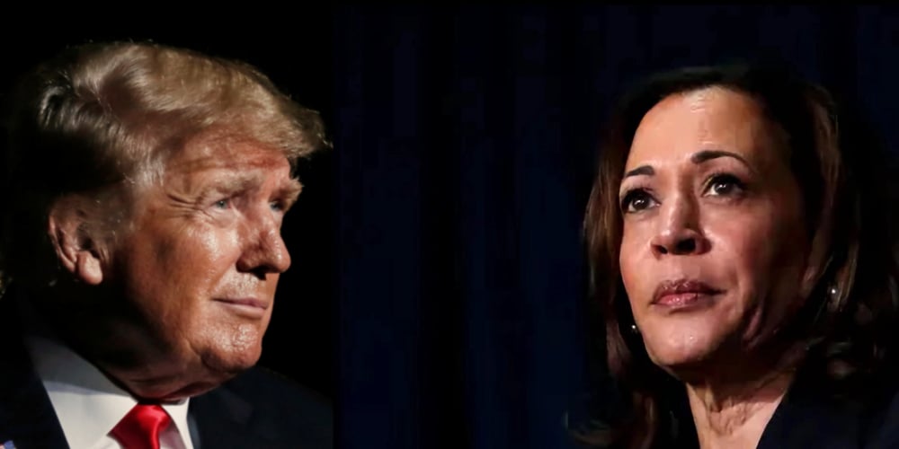 Donald Trump multiplie les attaques à coup de fake news contre sa rivale Kamala Harris, affirmant que celle-ci voudrait « interdire les gazinières ».