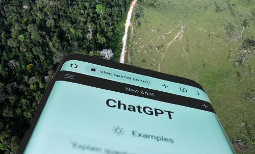 dforest chat gpt