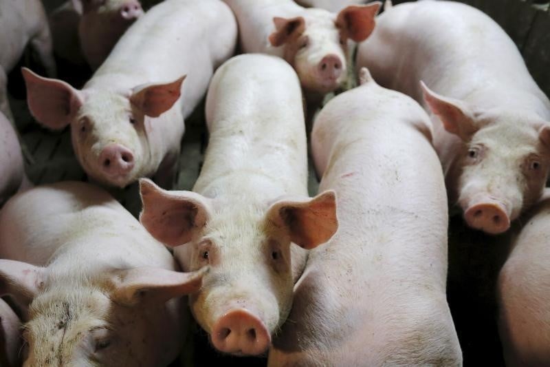 Les agriculteurs manifestent contre la faiblesse des cours de leurs productions