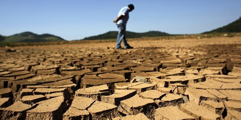 La secheresse dans le monde va couter plus de 8 milliards de dollars
