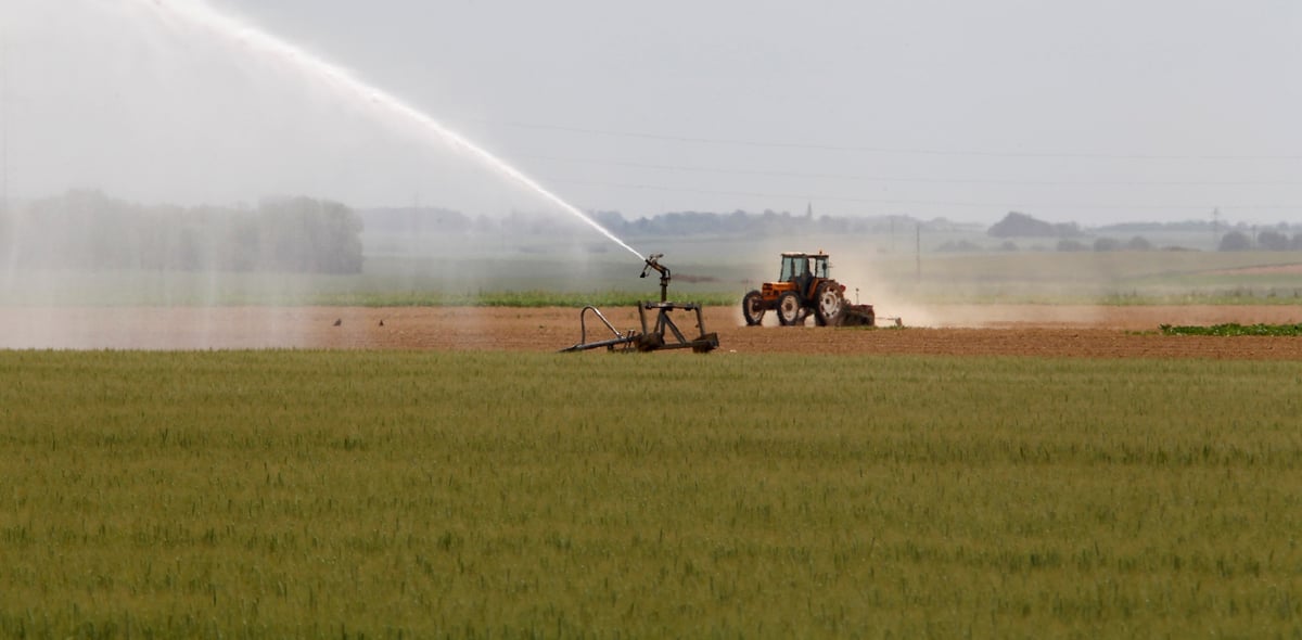 L'irrigation pourrait représenter le tiers des prélèvements d'eau en 2050.