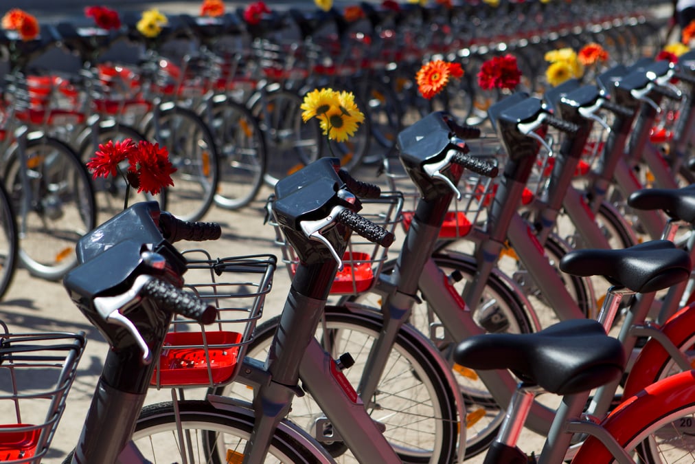A lyon, ca roule pour velo'v et bluely