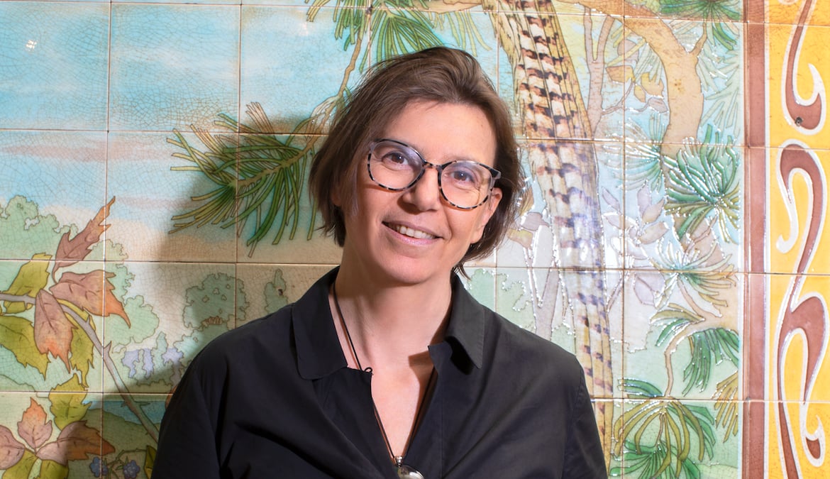 Véronique Reille Soult, Backbone consulting
