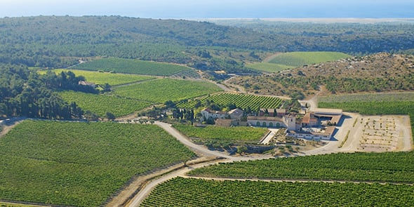 Le Château l'Hospitalet, dans l'Aude, a adapté son offre d'oenotourisme en proposant de nouvelles animations sur le domaine : parcours pédestres fléchés, cours de yoga dans le parc ombragé ou balades en VTT.
