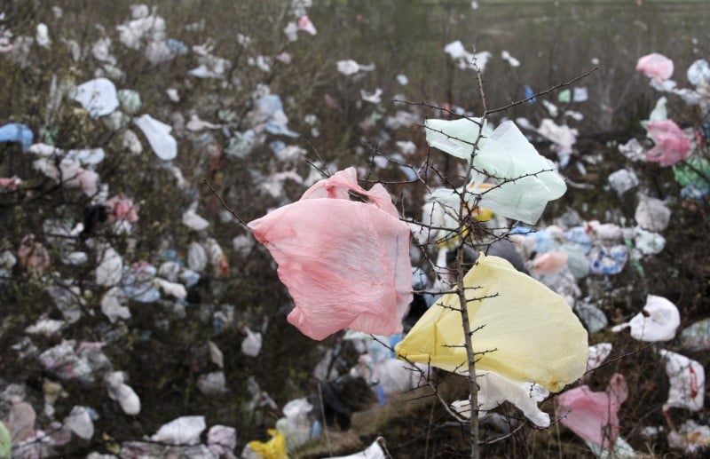 Mer: les efforts de l'ue contre le plastique portent leurs fruits selon une etude