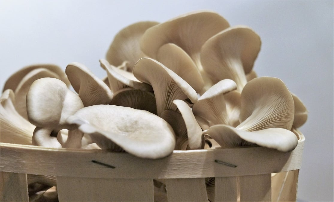 Champignons de Marseille