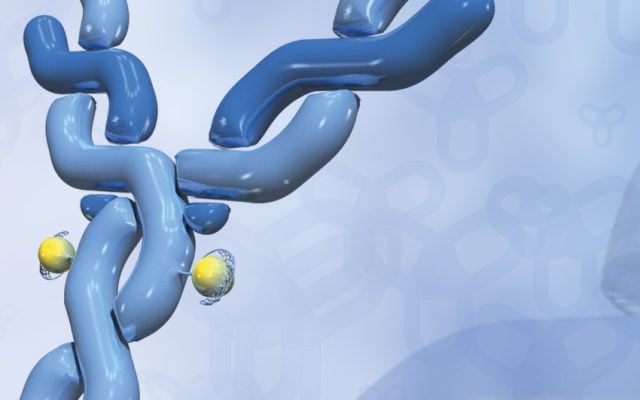 Anticorps ADN biotech