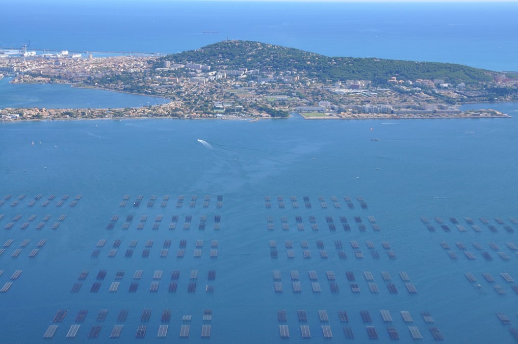 Sete Agglopole