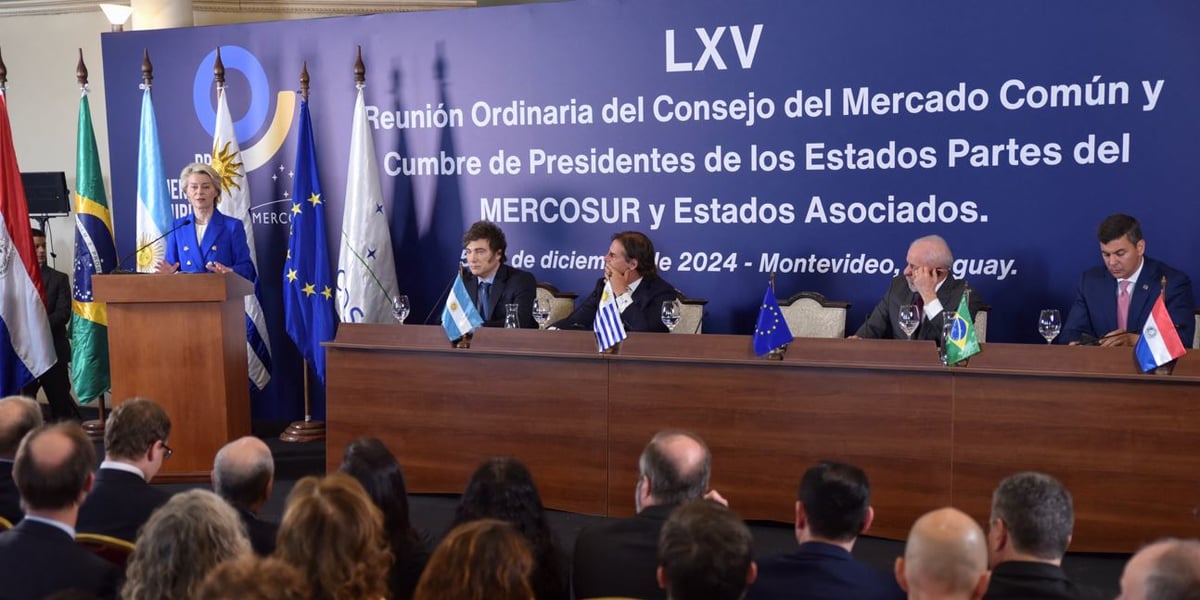 Le vendredi 6 décembre 2024, les Etats du Mercosur et la Commission européenne ont annoncé la conclusion d'un accord.