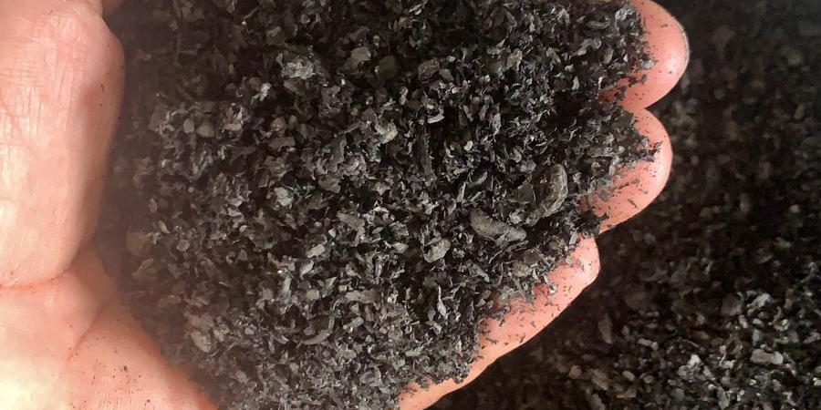 Biochar