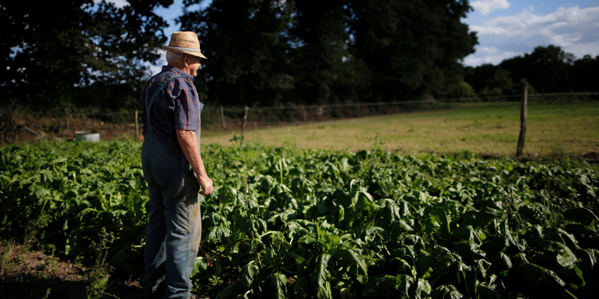 L'une des revendications premières de la Confédération paysanne : l’interdiction d'achat des produits agricoles en-dessous de leur prix de revient (coût de production + rémunération).