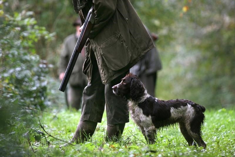 Les chasseurs vont demander a macron de se ranger a leurs cotes