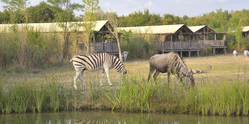 Le Pal parc animalier