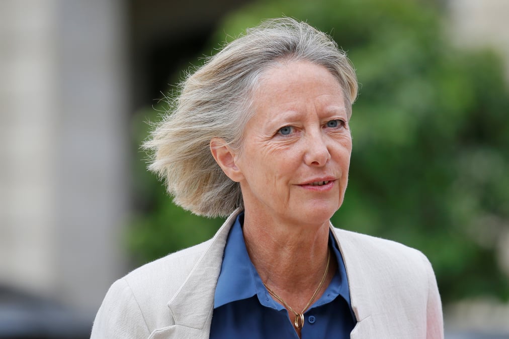 France: sophie cluzel de nouveau candidate aux regionales en paca