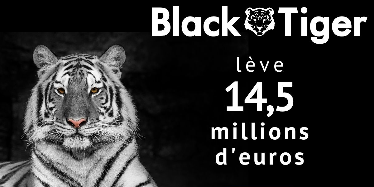 Black Tiger