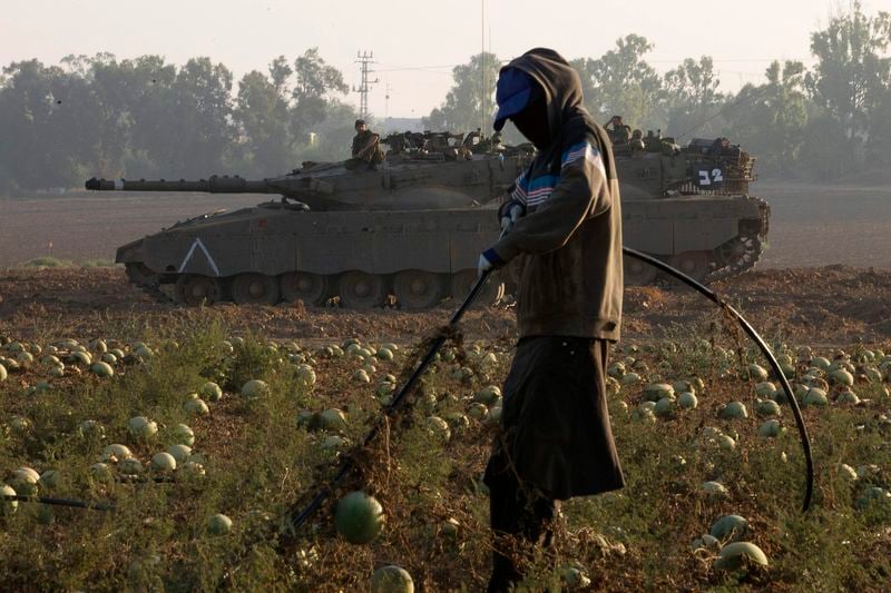 L'agriculture de Gaza dévastée par les combats, selon la FAO