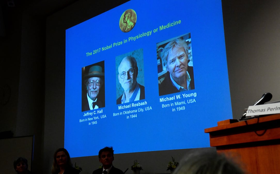 The names of jeffrey c. hall, michael rosbash and michael w. young are displayed during a news conference to announce the winner of the nobel prize in physiology or medicine 2017, in stockholm
