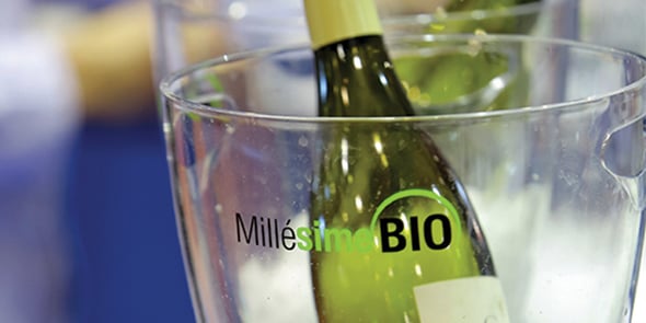 Salon Millesime Bio