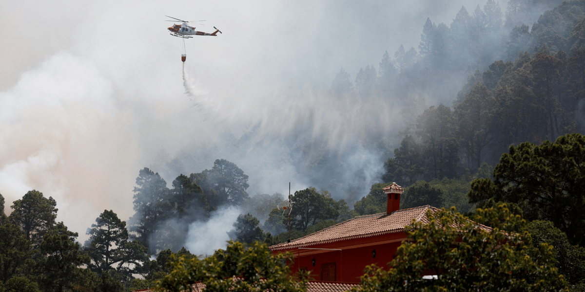 Photo du feu de foret sur l'ile de tenerife