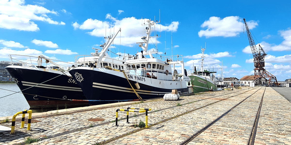 Bateaux de pêche a démanteler Bordeaux