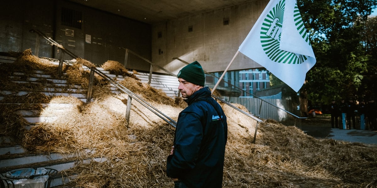 L'escalier d'accès a été recouvert de paille lors du rassemblement organisé par les syndicats FNSEA et Jeunes Agriculteurs devant la Cité Administrative, le 28 novembre 2024.