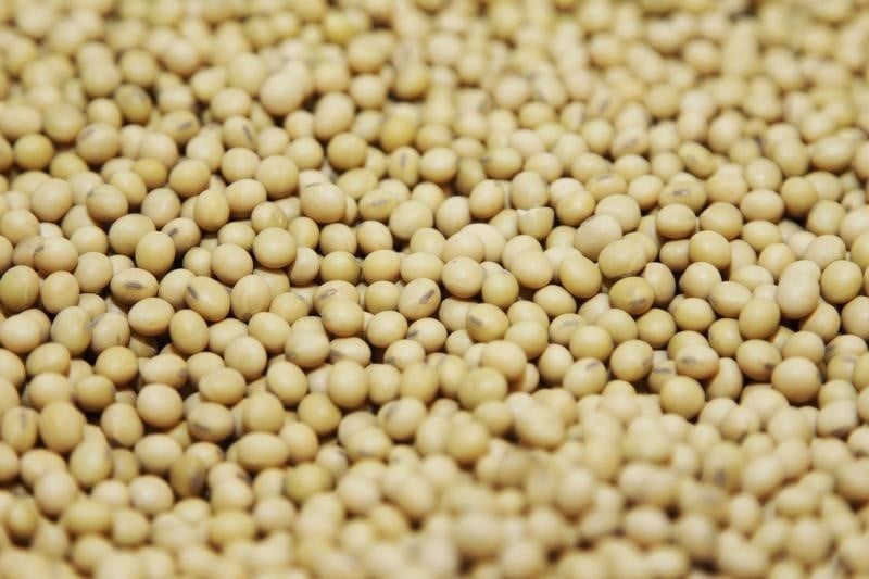 Le parlement europeen enterine l'accord sur les ogm