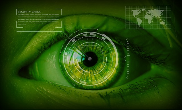 L'idée est d'attribuer à chaque individu une signature numérique, en scannant son iris (Photo d'illustration).