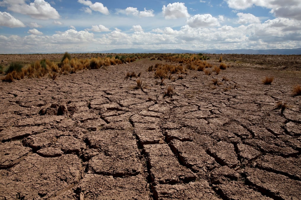 L'objectif des ONG est d'engager de plus en plus de personnes dans la mobilisation contre la crise climatique, ainsi que de suggérer par l'exemple d'autres formes d'actions.
