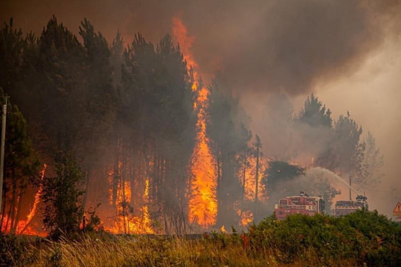 France: plus de 10.000 hectares de foret brules en gironde