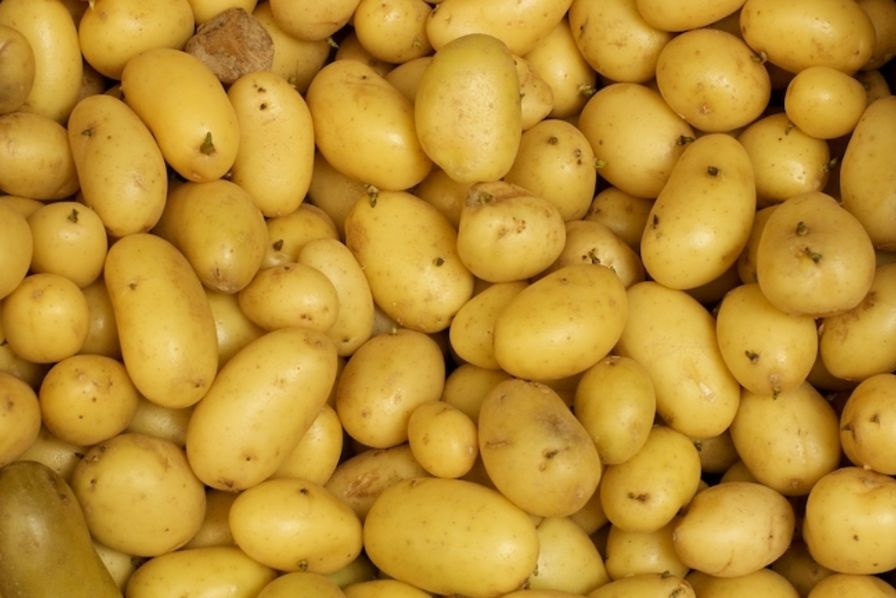En perte de vitesse, Lunor a construit sa réputation sur la cuisson sous vide de la pomme de terre grenaille, un procédé révolutionnaire à son lancement dans les années 50.