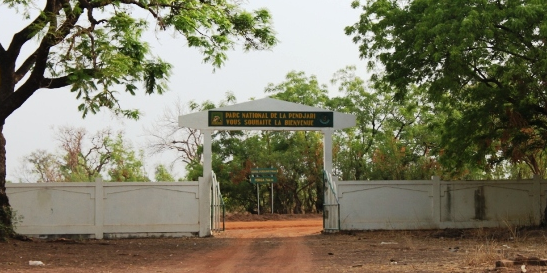 Parc national de la Pendjari Bénin