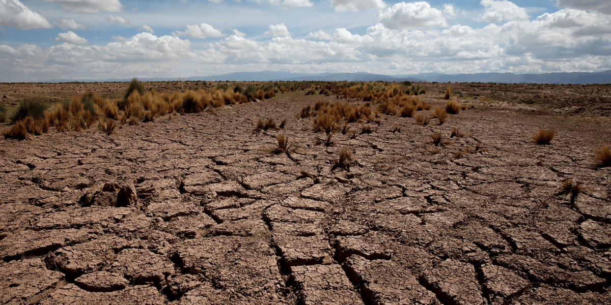 climat, sécheresse, réchauffement climatique, Bolivie