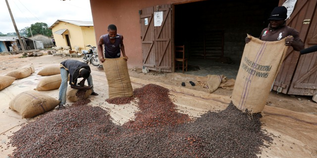 Ghana cacao