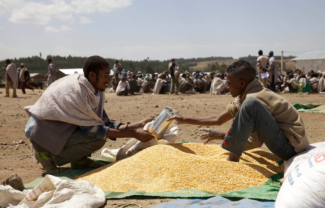 Ethiopie, aide humanitaire, famine, phénomène El Niño, sécheresse, récoltes, rivières asséchées, bétail, Banque mondiale, tourisme, Addis Abeba, conflit syrien, crise des réfugiés, agriculture de subsistance, faim, Care International, médecin, Etats-Unis, Union européenne, Nations unies,